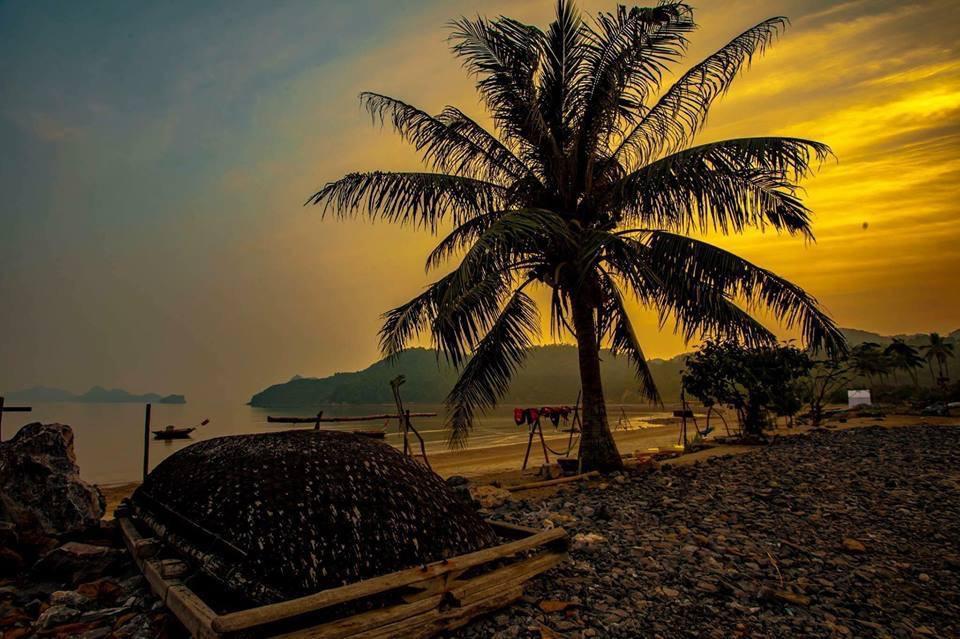 Woodstock Beach Camp Hien Hao Dış mekan fotoğraf